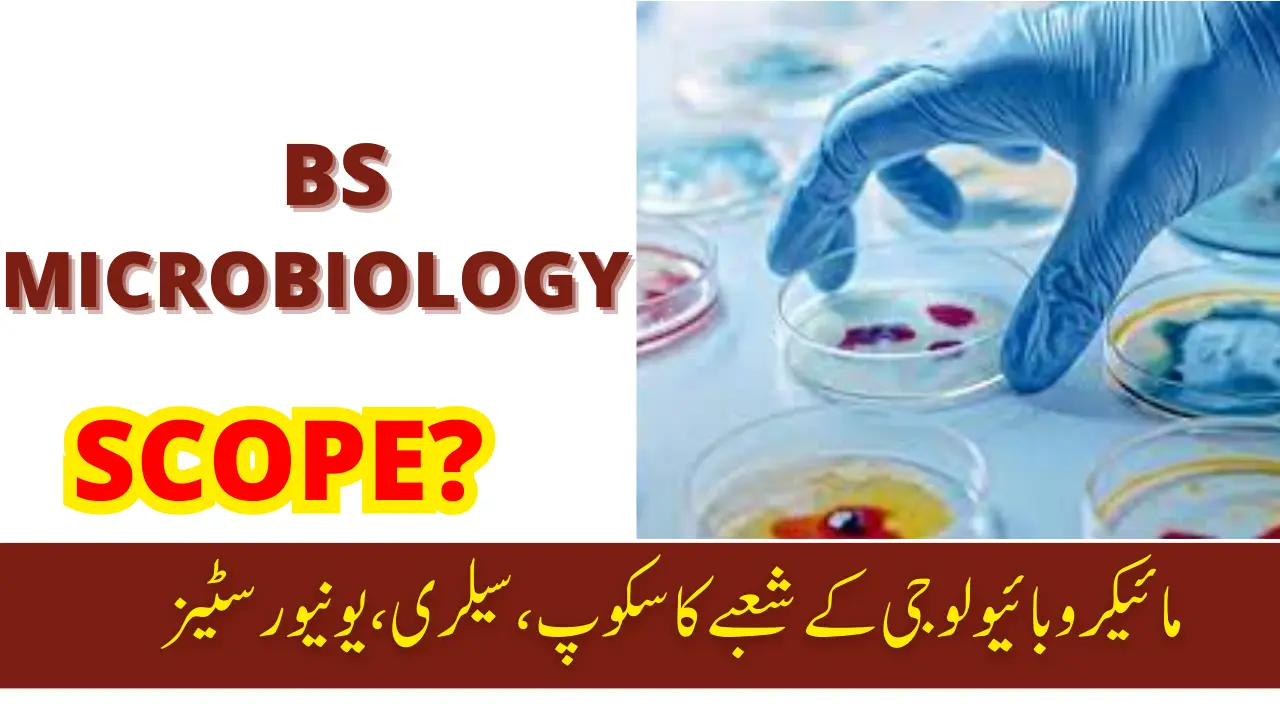 scope-of-microbiology-complete-guidance-2024