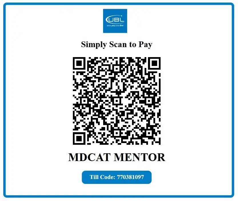 QR Code payment